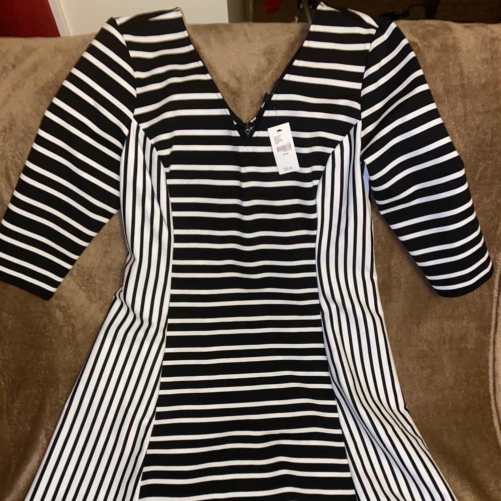 🤍🖤NWT black/white Lane BryantMidi dress14/16🤍🖤